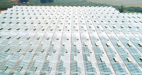 Aerial View of Extensive Greenhouse Installations in Countryside - Download Free Stock Images Pikwizard.com