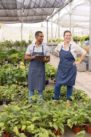 Multiethnic nursery team collaborating in greenhouse using tablet among potted plants
