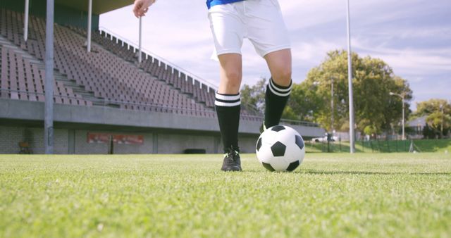 A soccer player prepares to kick a ball on a lush green field, with copy space. Capturing the anticipation of a powerful kick, the image conveys the energy and excitement of the sport.