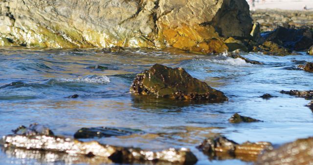 Rocky Shoreline and Waves with Golden Rocks - Download Free Stock Images Pikwizard.com