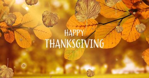 Happy Thanksgiving Celebration with Autumn Leaves - Download Free Stock Images Pikwizard.com