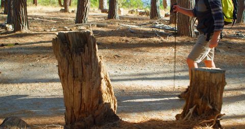 Man Hiking Through Sunlit Forest With Logs - Download Free Stock Images Pikwizard.com