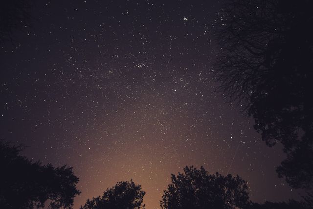 Starry Night Sky With Tree Silhouettes - Download Free Stock Photos Pikwizard.com