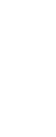 Transparent Silhouette of Man Holding Ball Icon