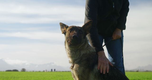 A German Shepherd dog sitting next to its owner in a green grassy field under a blue sky. The dog is looking at the camera, showcasing its loyalty and alertness. Ideal for use in advertisements, blogs, websites, and marketing materials focused on pets, outdoor activities, and the bond between pets and their owners.