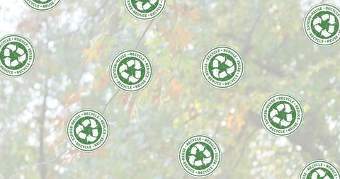 Recycling Icons Overlay on Lush Green Forest Background - Download Free Stock Images Pikwizard.com
