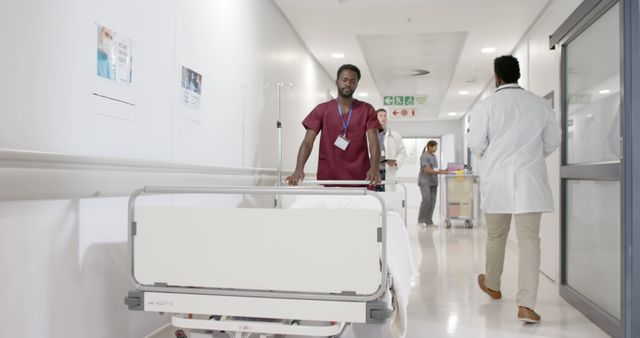 Healthcare Professionals in Hospital Hallway with Patient Bed - Download Free Stock Images Pikwizard.com