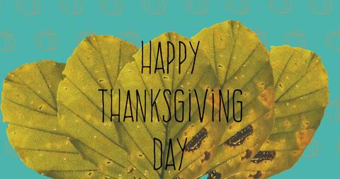 Happy Thanksgiving Text on Autumn Leaves with Pumpkin Background - Download Free Stock Images Pikwizard.com