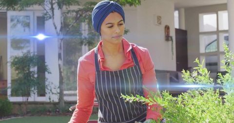 Woman Wearing Blue Turban Pruning Shrub in Striped Apron in Sunny Backyard Garden