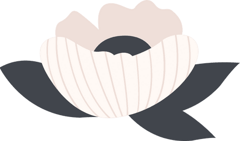 Minimalist Floral Illustration on Transparent Background