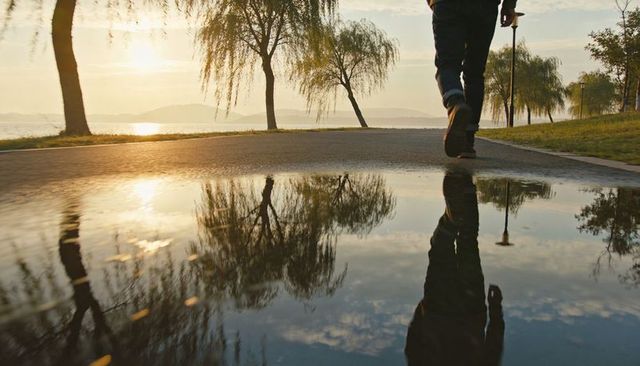 Walking with cane along lakeside at sunrise reflecting willow silhouettes in puddle