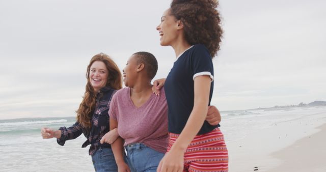 Diverse Group of Young Women Walking Together on the Beach - Download Free Stock Images Pikwizard.com