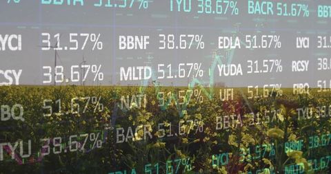 Farming Productivity and Market Data Overlap