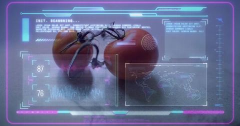 Scanning ripe vine tomatoes through futuristic neon hud interface on gray surface