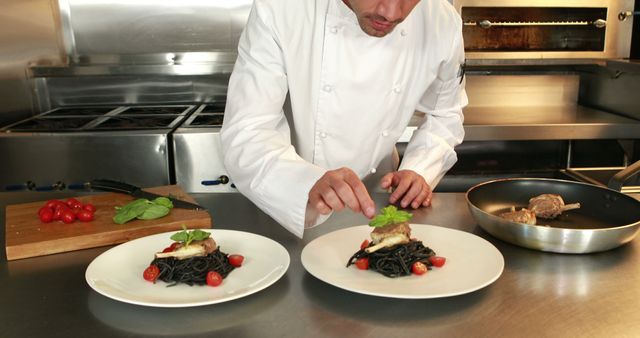 Chef Presenting Beautifully Plated Dish in Professional Kitchen - Download Free Stock Images Pikwizard.com