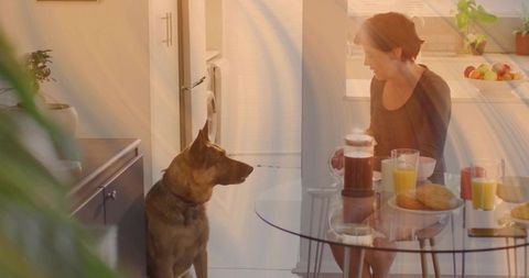 Woman Enjoying Breakfast in Cozy Kitchen with Dog Enthralling Scene