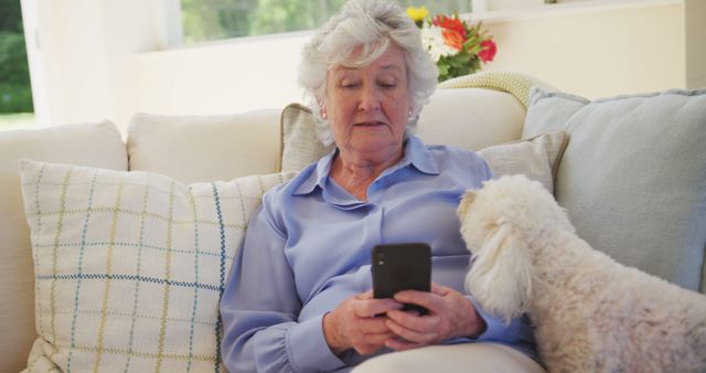 Elderly Woman Using Smartphone with Curious Dog on Sofa - Download Free Stock Images Pikwizard.com