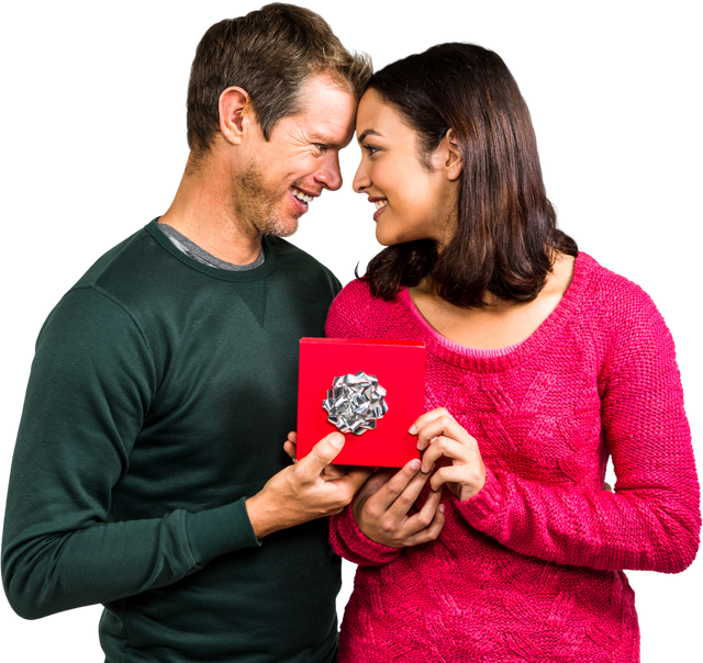 Happy Couple Embracing While Holding Transparent Gift Box with Silver Bow - Download Free Stock Videos Pikwizard.com