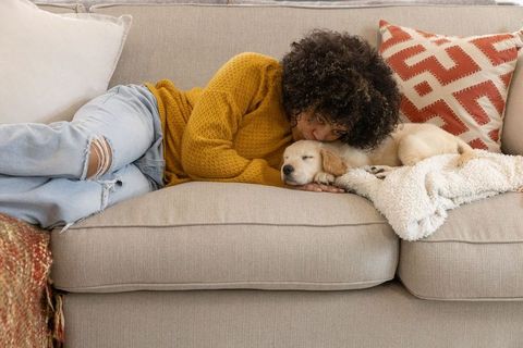 African american woman cuddling golden retriever puppy on cozy beige sofa