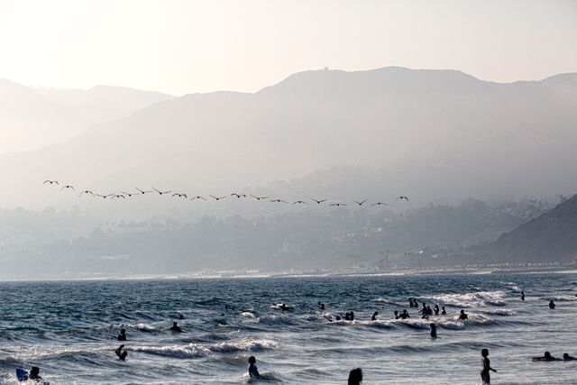 Tourists are enjoying swimming and bathing in the ocean while a flock of seagulls flies by. The beach is busy with vacationers on a sunny day. The distant mountains create a stunning backdrop perfect for travel blogs, vacation ads, and nature documentaries.