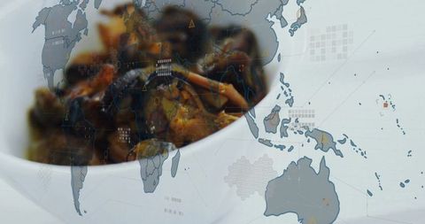 Fusion cuisine concept with global map overlay