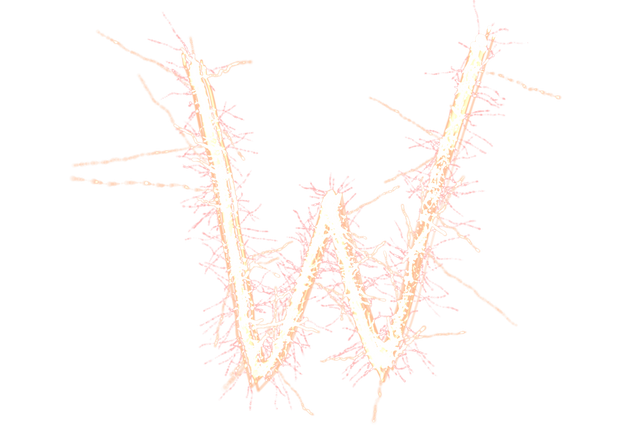 Sparkly Radiant Letter W on Transparent Background for Celebrations - Download Free Stock Videos Pikwizard.com