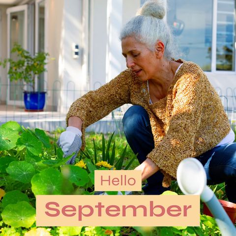 Senior woman gardening in september fall setting