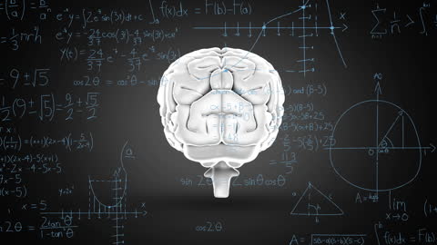 Spinning Brain Animation with Mathematical Formulas