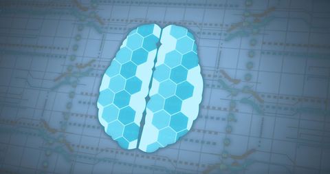 Digital Brain Technology Concept with Circuit Board Wiring - Download Free Stock Images Pikwizard.com