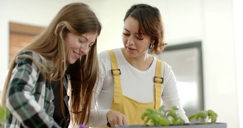 Female Friends Planting Seedlings Together During Indoor Gardening Workshop for Beginners