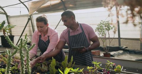 Diverse Team Collaborating Inside Greenhouse with Modern Technology