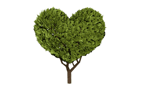 green heart-shaped tree illustration on transparent background - Download Free Stock Videos Pikwizard.com