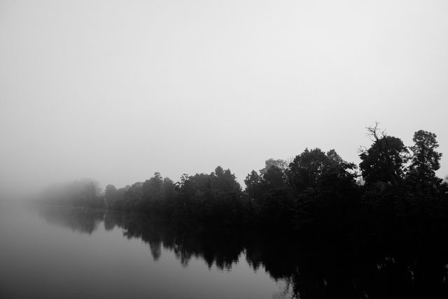 Monochrome image perfect for nature photography enthusiasts, portraying a tranquil, misty river scene with silhouetted trees reflected on the calm water. Ideal for use in landscape-themed posters, serene and peaceful illustrations, or contemplative art pieces.