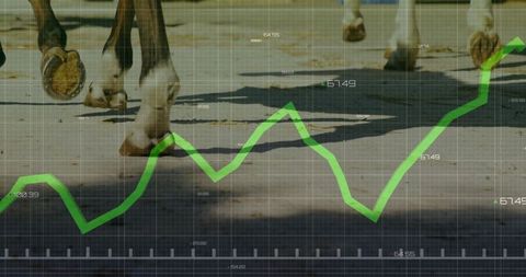 Dynamic Horse Galloping Overlayed with Performance Line Graph