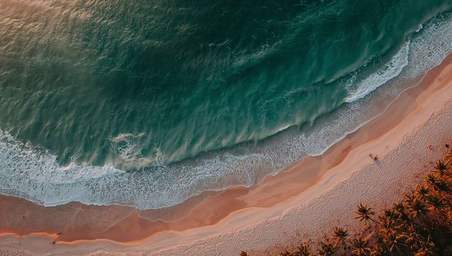 Aerial tropical coastline at golden hour with emerald surf, pale sand and palm silhouettes