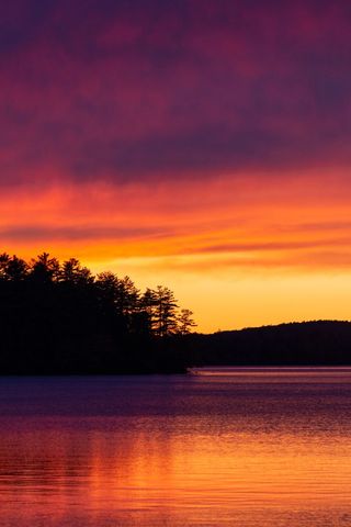 Vibrant sunset over calm lake with pine silhouette and fiery orange-purple sky reflection