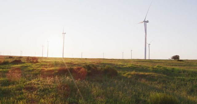 Wind turbines in countryside landscape with cloudless sky, sunlight and lens flare. environment, sustainability, ecology, renewable energy, global warming and climate change awareness.