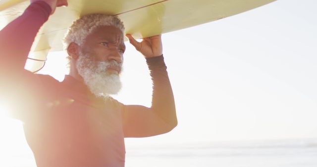 Elderly surfer carrying board on beach at sunset - Download Free Stock Images Pikwizard.com