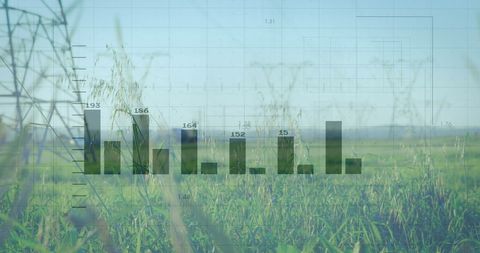 Digital Financial Graph over Sunny Countryside Fields