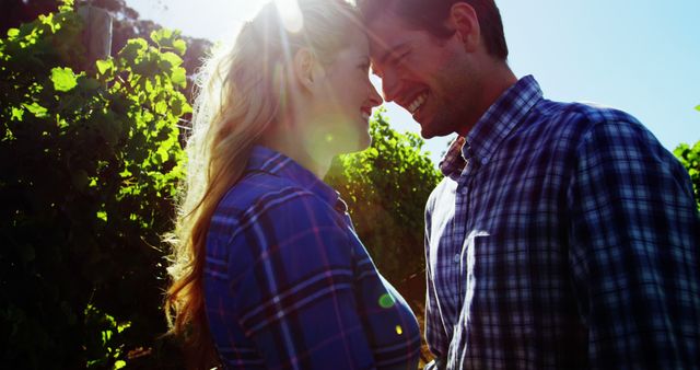 Happy couple standing close in a vineyard while enjoying sunlight. Both individuals are wearing plaid shirts, symbolizing casual and relaxed moments. The light beautifully illuminates their surroundings, enhancing the romantic atmosphere. Ideal for use in advertisements, blogs, or articles about relationships, romance, outdoor activities, and lifestyle.