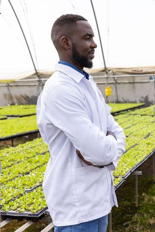African American Male Agronomist Inspecting Seedlings in Greenhouse