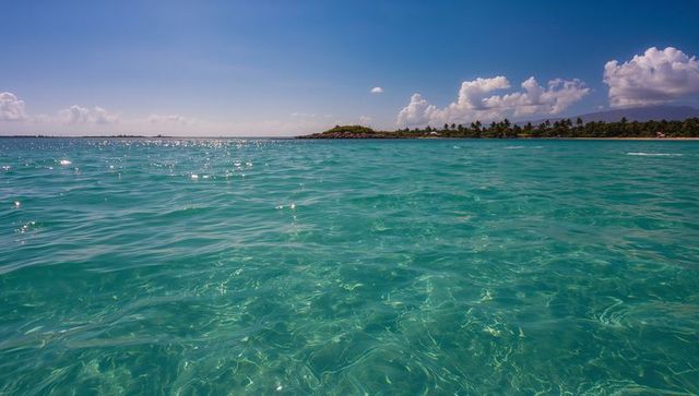 Glittering turquoise lagoon revealing sandy seabed and palm-lined shore under blue sky