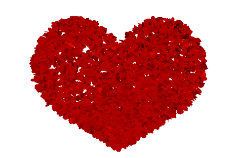 Floral Red Heart Illustration on Transparent Background