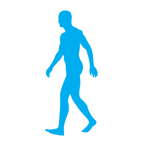 Silhouette of Man Walking on Transparent Background in Blue