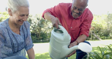 Senior Couple Enjoys Gardening and Watering Plants in Sunny Backyard