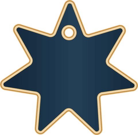blue star tag icon with gold outline on transparent - Download Free Stock Videos Pikwizard.com