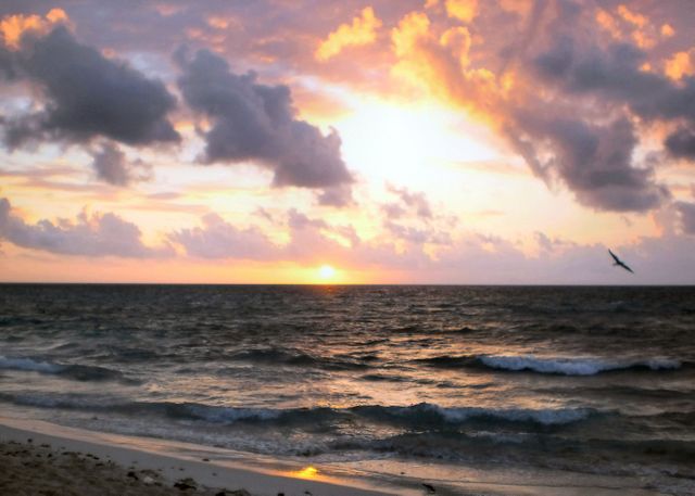 Dramatic Sunset Over Ocean with Waves and Clouds - Download Free Stock Photos Pikwizard.com
