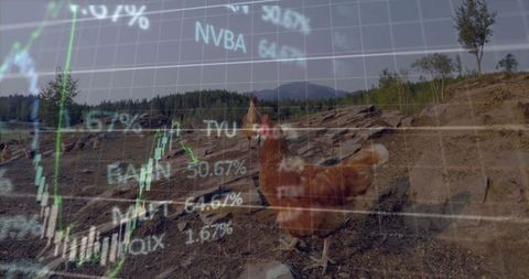 Farm Life and Market Analysis Dual Concept Blend