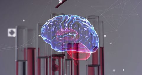 Digitally Generated Brain with Scientific Test Tubes - Download Free Stock Images Pikwizard.com