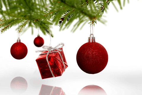 Christmas Fir Branch with Red Ornaments on Transparent Background